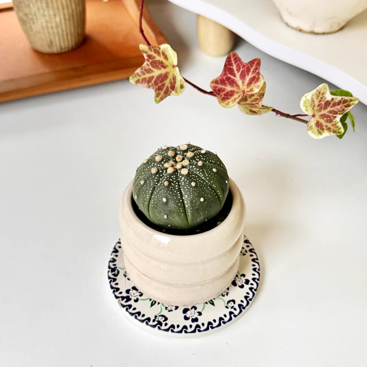 Heat-Resistant Ceramic Coasters